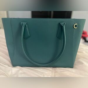Dagne Dover Classic Tote in Palm
